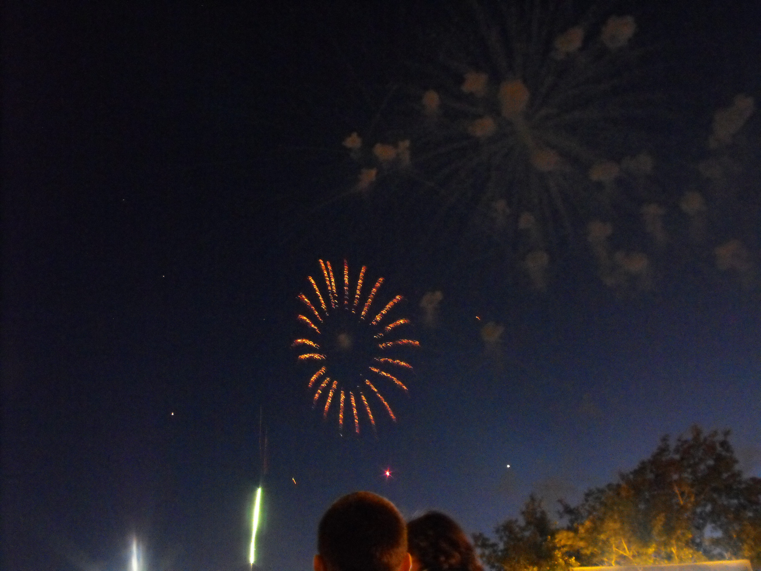 ./2010/Fourth of July/4th July Fireworks Wilm 0009.JPG